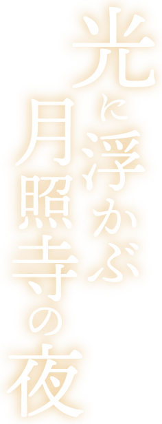 光に浮かぶ月照寺の夜