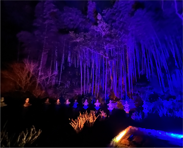 月照寺の大亀の写真